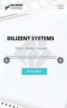 Dilizentsystems Clone